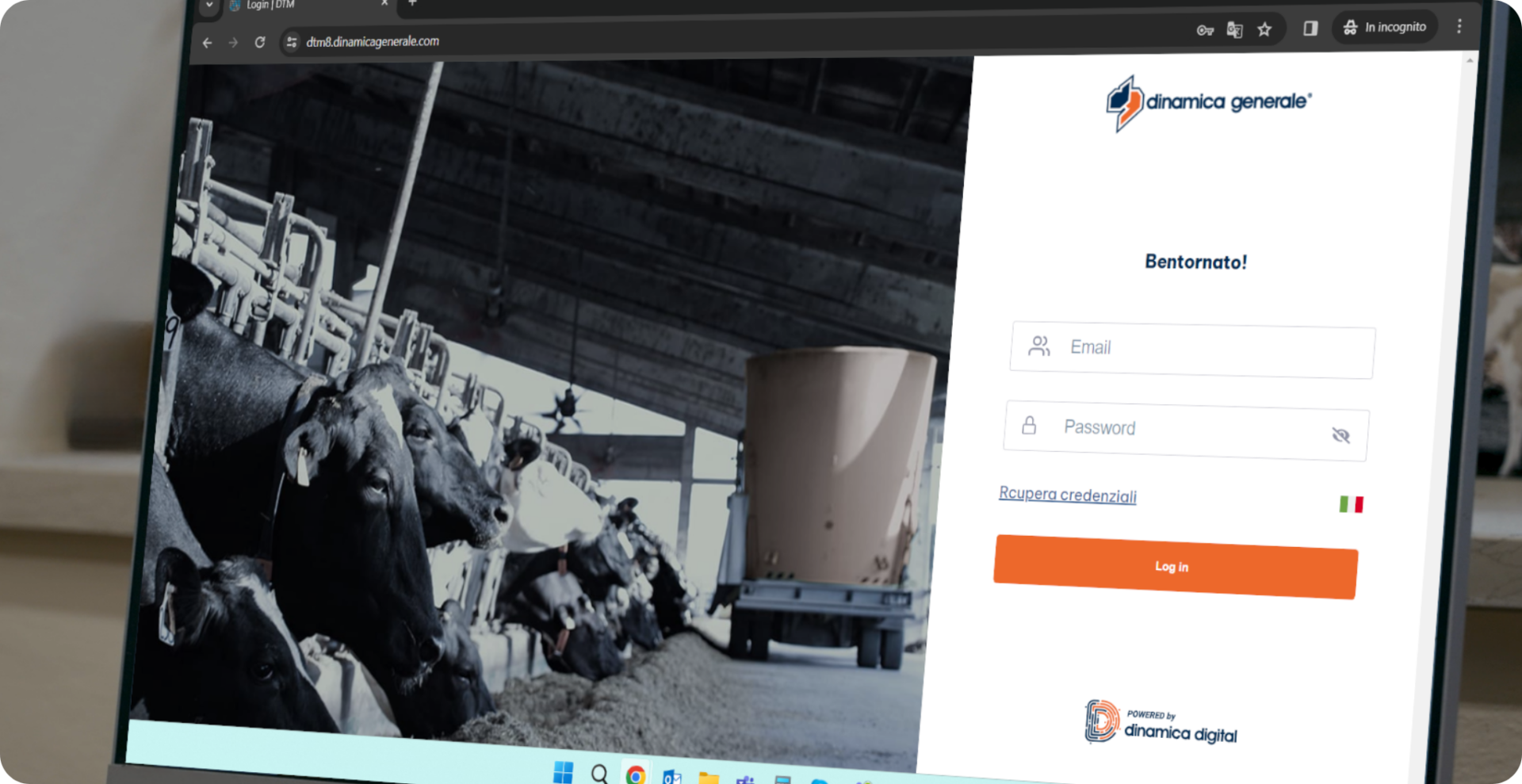 Answering Your FAQs about Feed Management Software