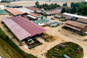 precision-feeding-adriana-busi-azienda agricola-i tigli