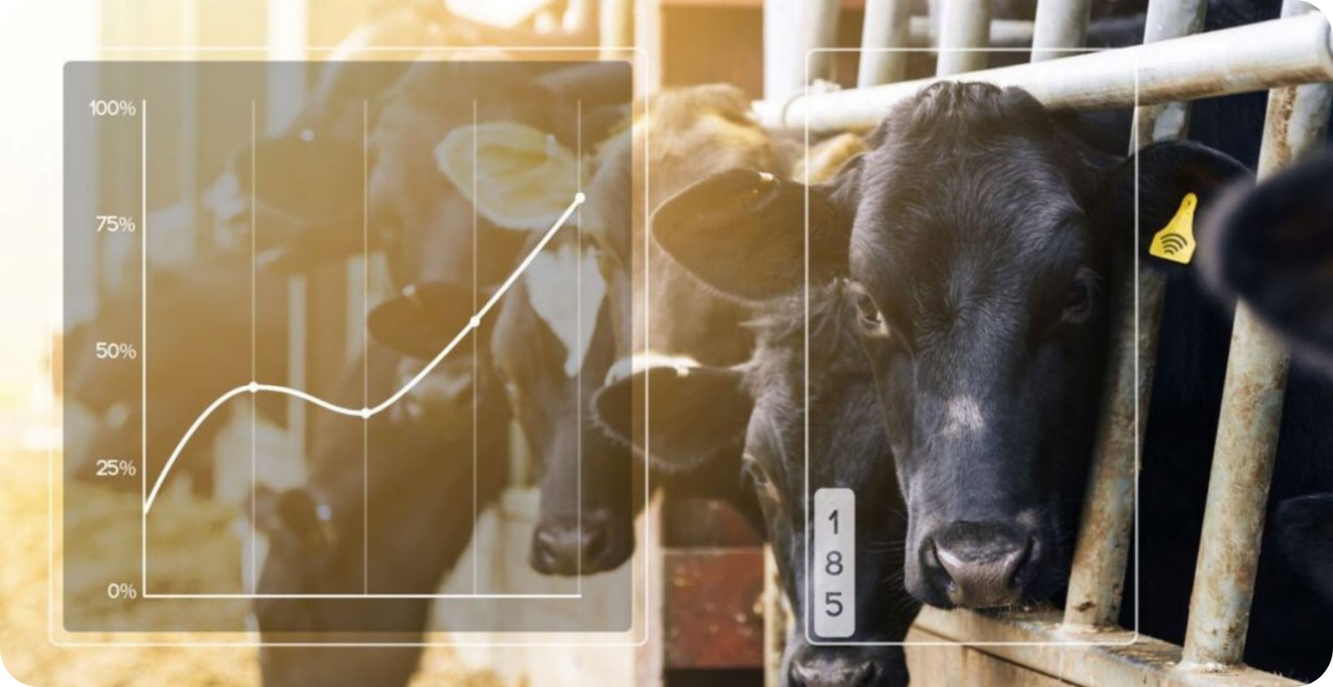 DTM dinamica generale blog 01 precision feeding software