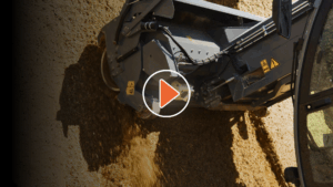 Precision Feeding Solutions for Dairy Farms