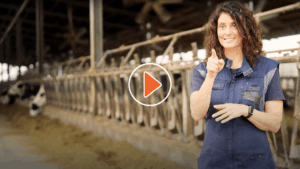 Video: Discover the new features of DTM software ft. Adriana Busi