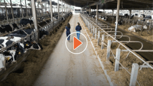 Video: Smart Agriculture - Q&A with Adriana Busi