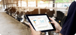 dinamica generale DTM Präzisionsfütterungssoftware