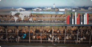 Top 5 Features To Look for in Feed Management Software