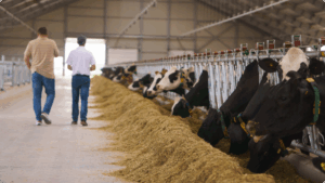 2025 年 EDF 大会。有利可图的可持续乳制品生产方式