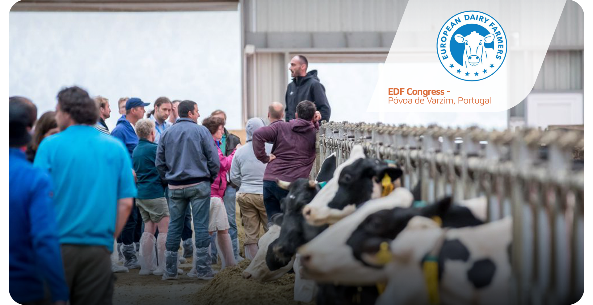 EDF - European Dairy Farmers 2025