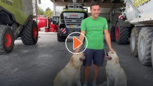 NIR analysis in real time during harvesting