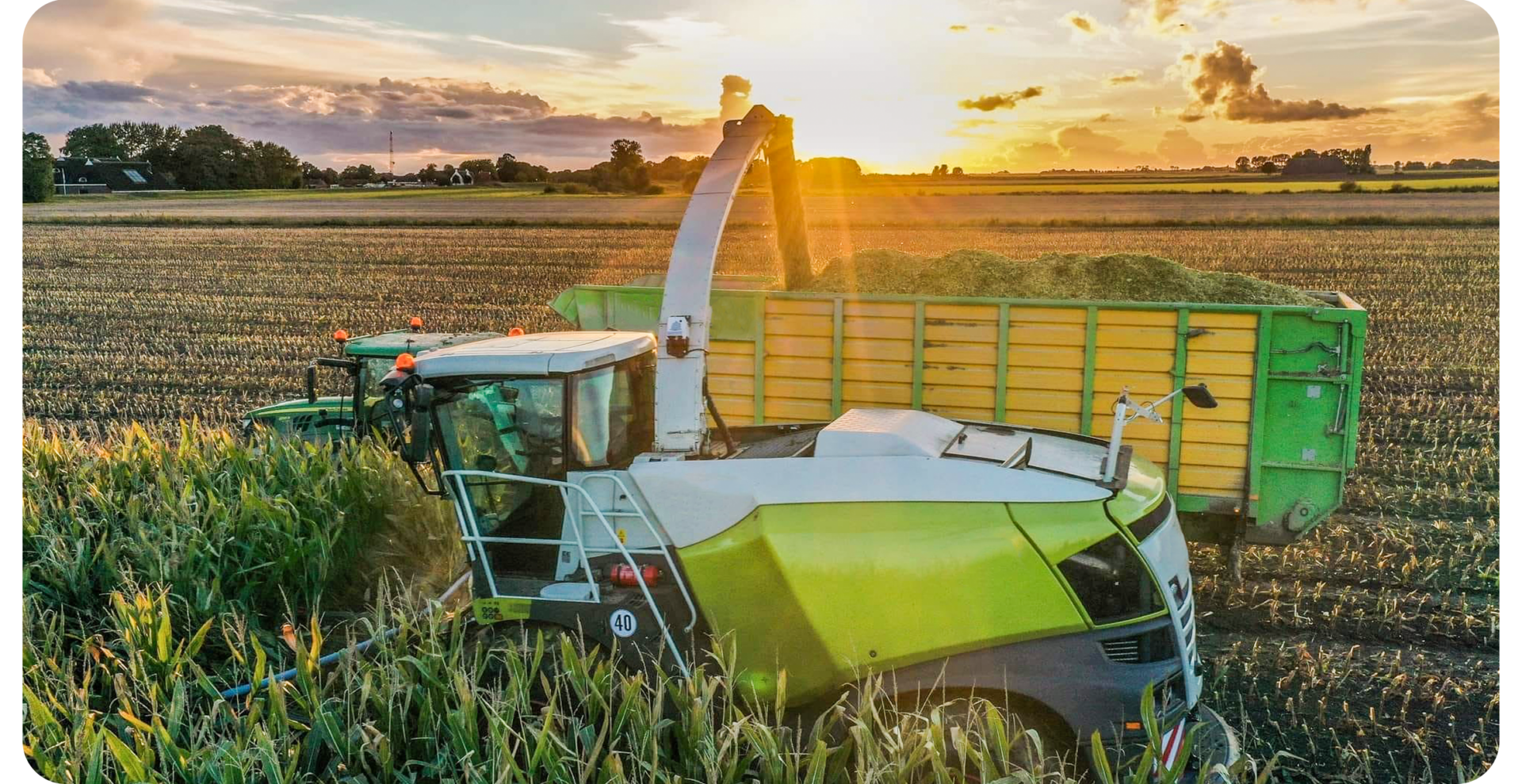 Why Corn Analysis during Harvest is Key to Optimal Silage Quality