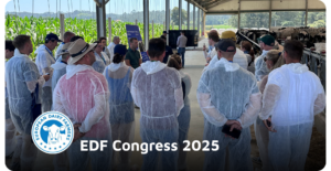 EDF Congress 2025 in Portugal