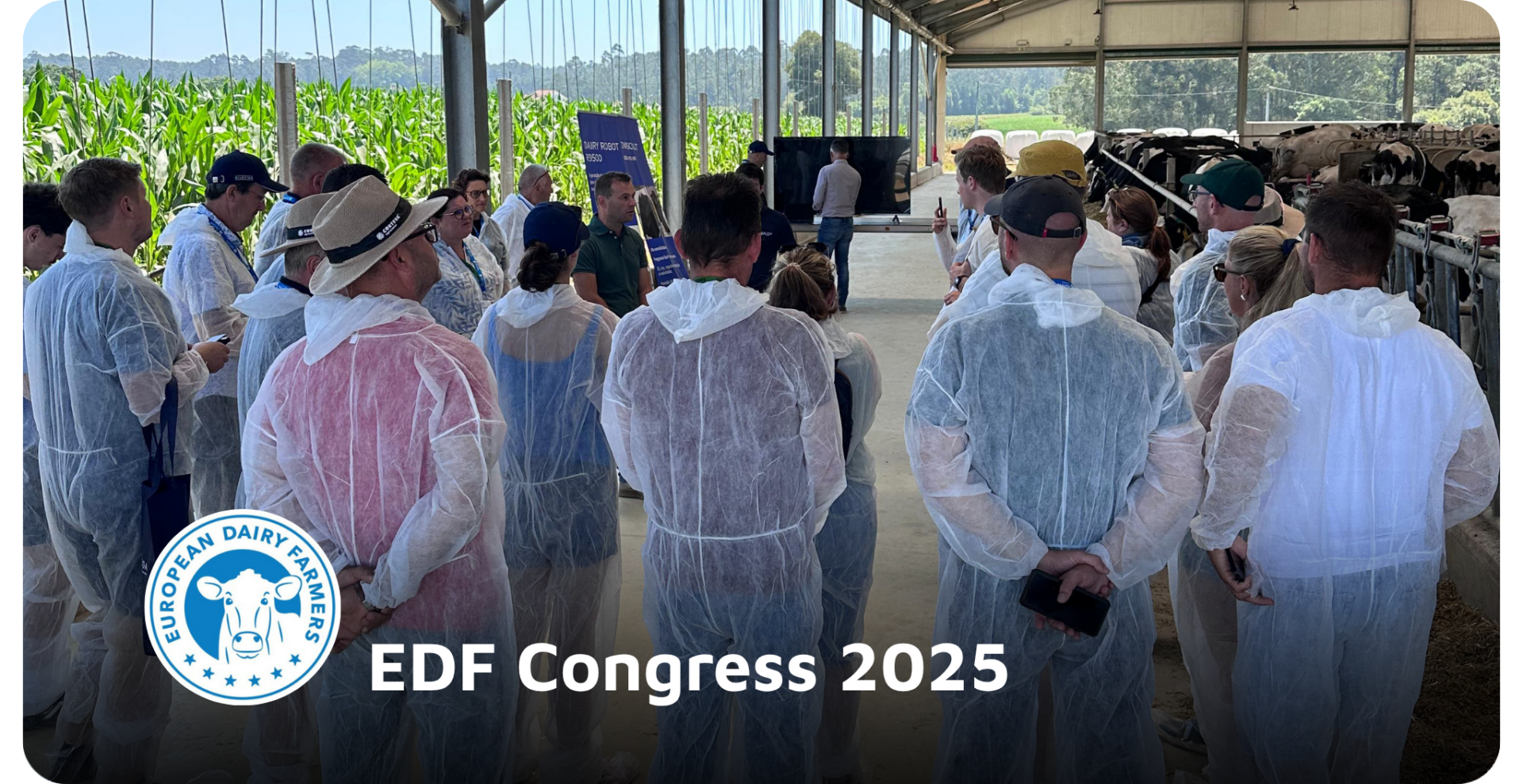 EDF Congress 2025 in Portugal