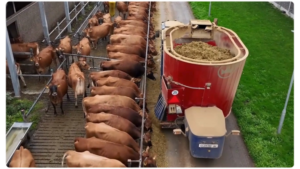 Juulsgaard Farm_self-propelled-mixer-loanding