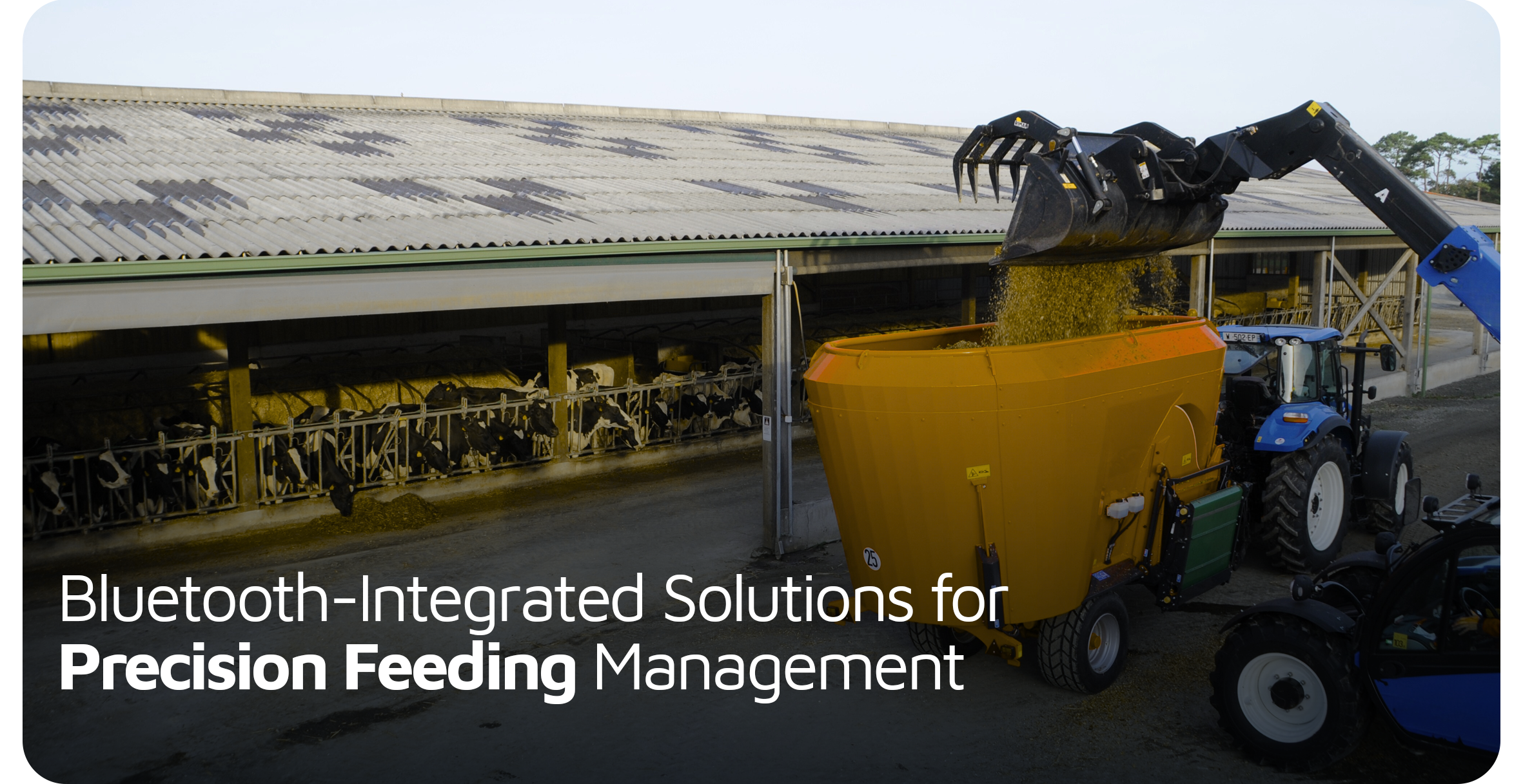 New DG500 & DG600 Scales with Integrated Bluetooth