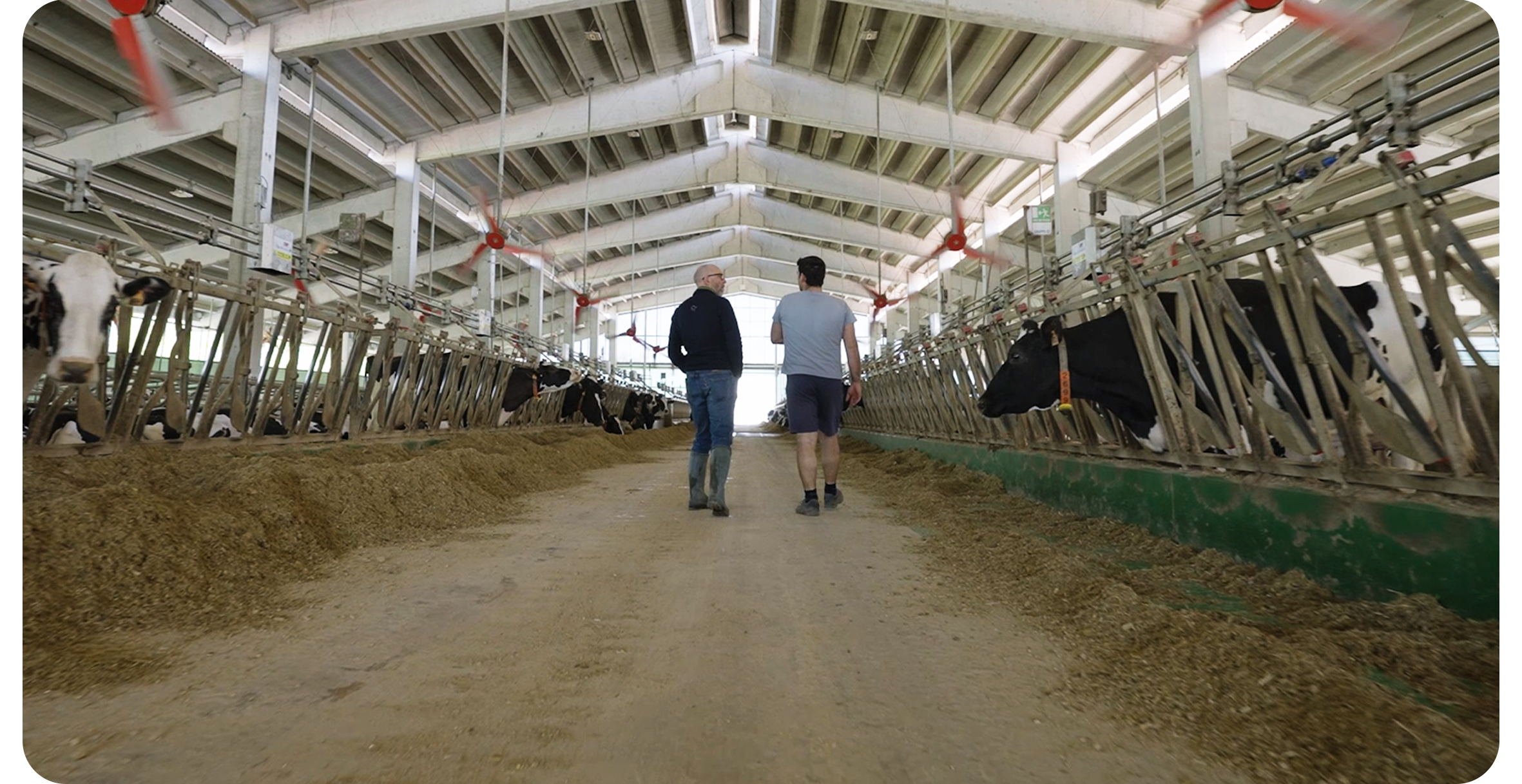 Daily digital feeding management.Cristian Rotas Perspective