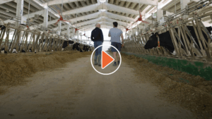 Daily digital nutrition management. Cristian Rotas perspective