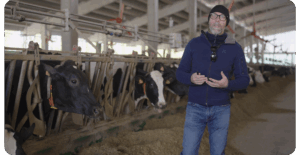 Feed Bunk Analysis and Feeding Behavior. Cristian Rotas perspective