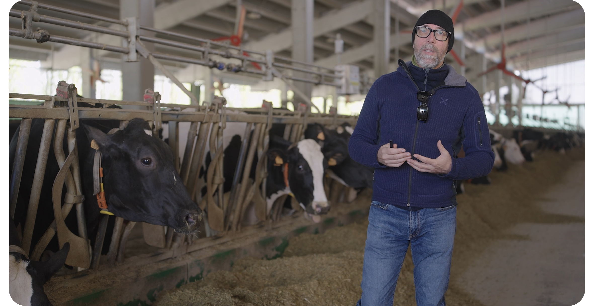 Feed Bunk Analysis and Feeding Behavior. Cristian Rotas perspective