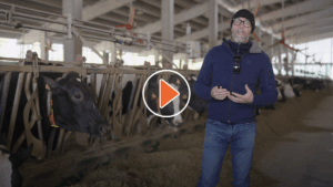 Video-Feed Bunk Analysis and Feeding Behavior. Cristian Rotas Perspective